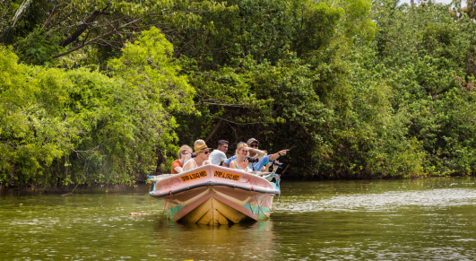 Untitled design - 2025-10-23T102355.829