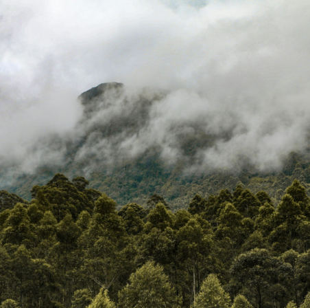 Untitled design - 2025-10-23T111349.865