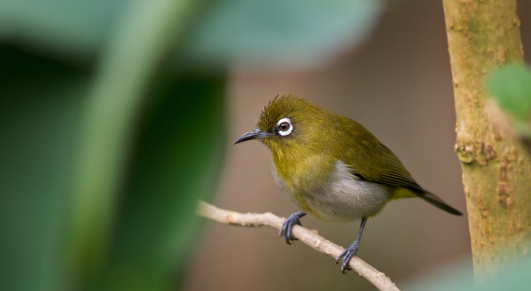 Untitled design - 2025-10-23T130925.249