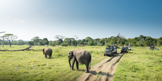 Untitled design - 2025-10-23T140651.578