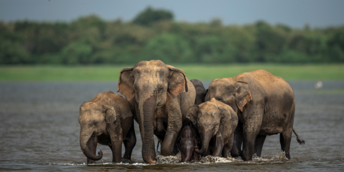 Untitled design - 2025-10-23T204030.125