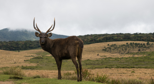 Untitled design - 2025-10-28T115521.174